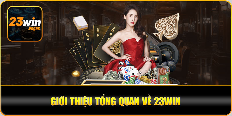 Giới thiệu vài thông tin cơ bản về 23Win